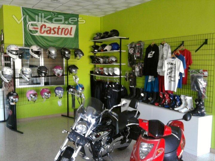 MONESMOTO DAVID