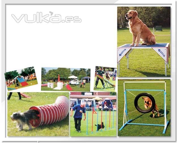 Parcures de Agility