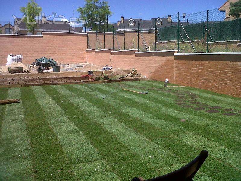 Trabajos de jardineria en Arroyomolinos. Colocación de tepe.