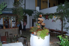 Foto 12 bar de copas en Sevilla - Casagrande Caf-copas