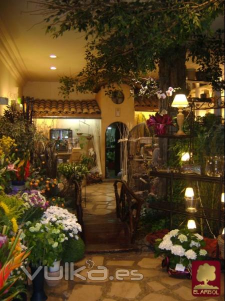 www.floristeriaelarbol.es