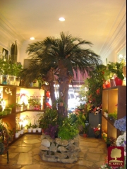 www.floristeriaelarbol.es