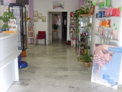 Academia desiree
