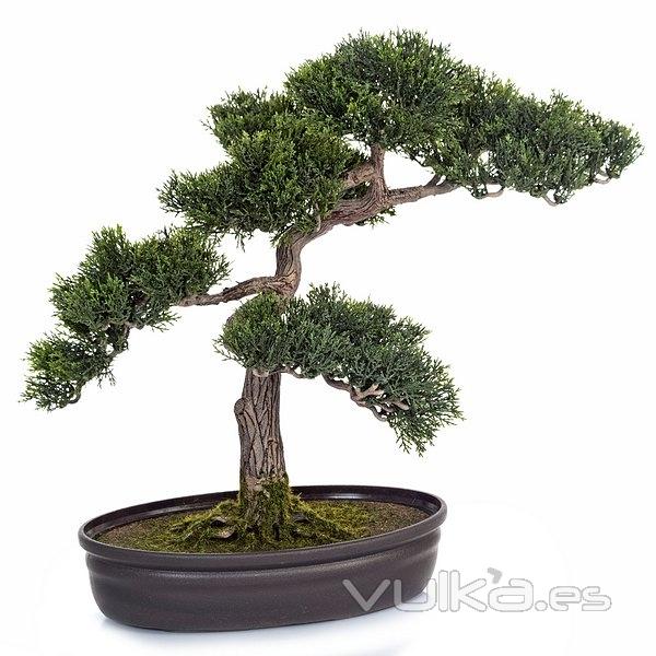 Plantas artificiales. Bonsai artificial cedro 41 en lallimona.com