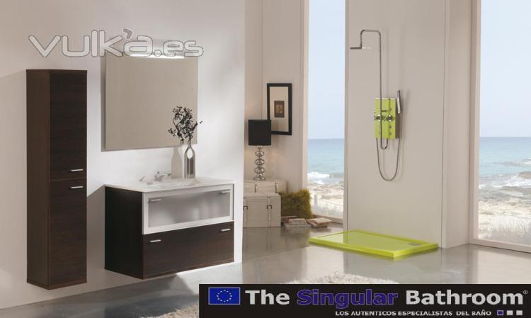 instalacion montaje plato de ducha the singular bathroom  cambiar bañera por ducha por plato de duch