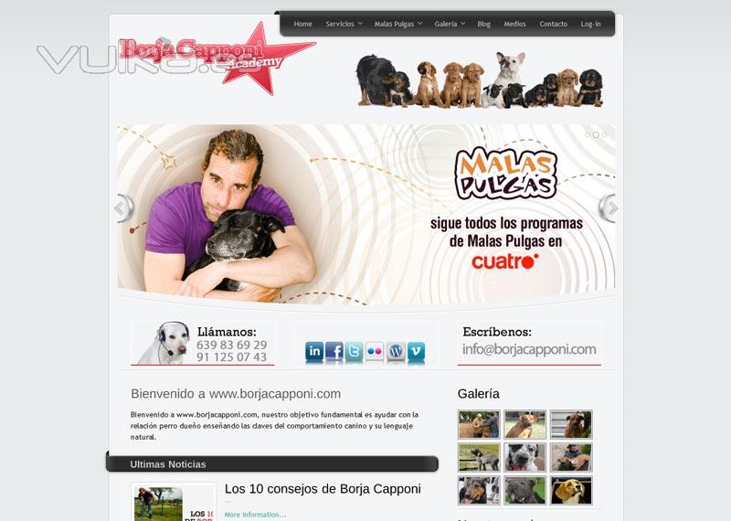 Diseo y Desarrollo del website de Borja Capponi, presentador del programa Malas Pulgas de La Sexta
