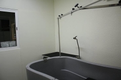 Nuestra zona de Baño y secado