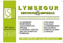 Lymsegur