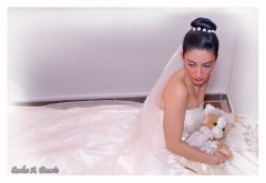 Foto 83 fotos boda en Sevilla - Fotoguadairaes