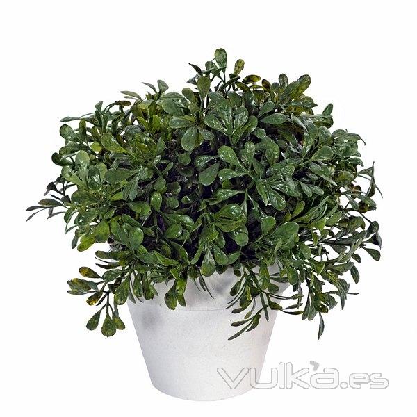 Plantas artificiales. Planta artificial bola boxwood maceta 16 en lallimona.com