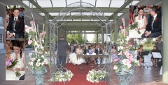 Bodas