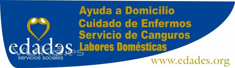 Servicios