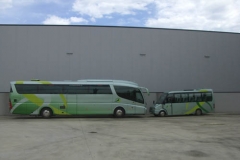 Autobus y microbus