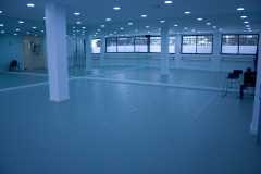 Sala con suelo de Ballet Profesional