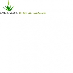 Aloe vera de lanzarote