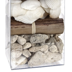 Complementos arreglos florales caja conchas blancas decoracion 26 en lallimonacom (1)
