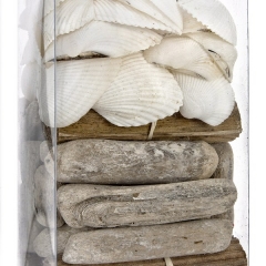 Complementos arreglos florales caja conchas blancas decoracion 26 en lallimonacom (2)