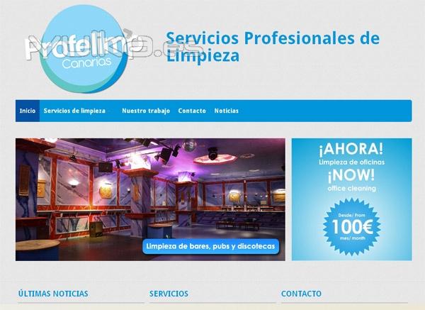 Diseño web Lanzarote, Profelimp