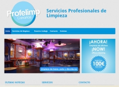 Diseño web Lanzarote, Profelimp