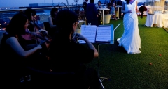Actuaciones musicales  roseaux - foto 24