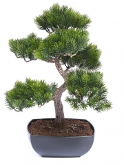Bonsaia artificiales de calidad. bonsai pino artificial oasisdecor.com