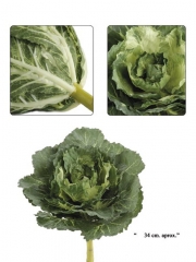 Coles artificiales col artificial oasisdecorcom