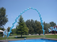 Arco de delfines en la piscina