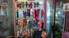 PELUQUERIA CANINA SIR CAN - Foto 11