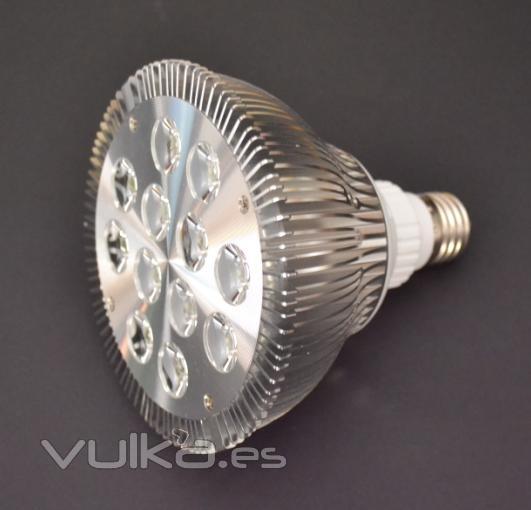 led 12w