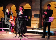 Bossanova & jazz
