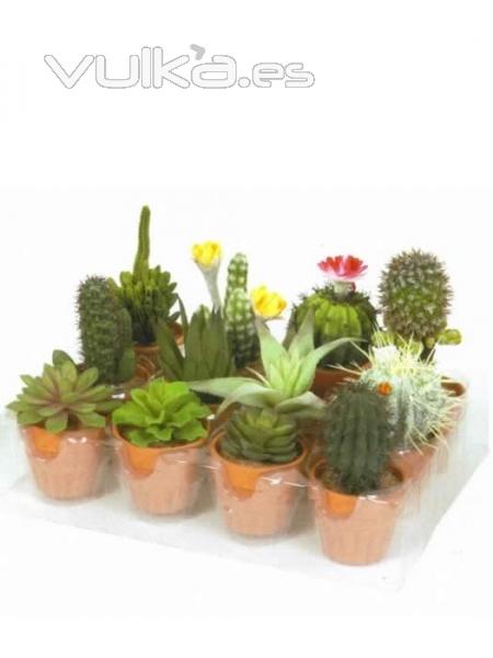 macetitas cactus artificiales. oasisdecor.com Cactus decorativos