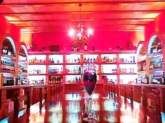 Bodega de quiros (vista general ii)