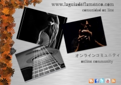 Flamenco: cante, toque y baile