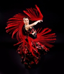 Baile flamenco