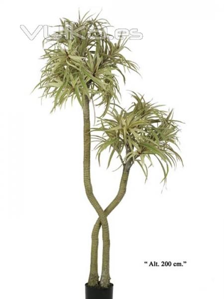 Dracenas artificiales de calidad. Dracena marginata x 2 cabezas oasisdecor.com