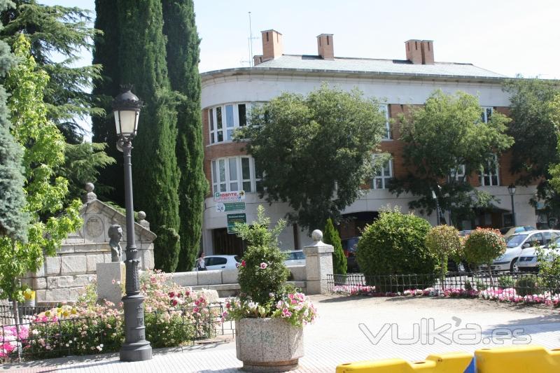 ACADEMIA AVANZA TORRELODONES