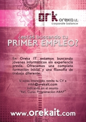 Curso de abap en academia interna + oferta de trabajo 2011