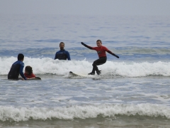 Cursos verano 2011