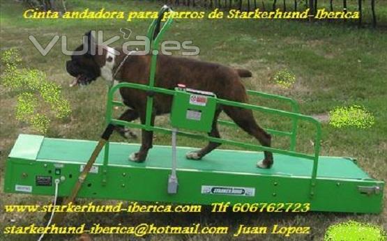 Cinta andadora de Starkerhund-iberica
