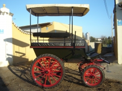 Jardinera 8 plazas, con palio carruaje familiar para disfrutar en romerias y paseos por el campo