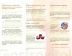 Triptico cirugia pose (resuccion de estomago sin incisiones) - informacion