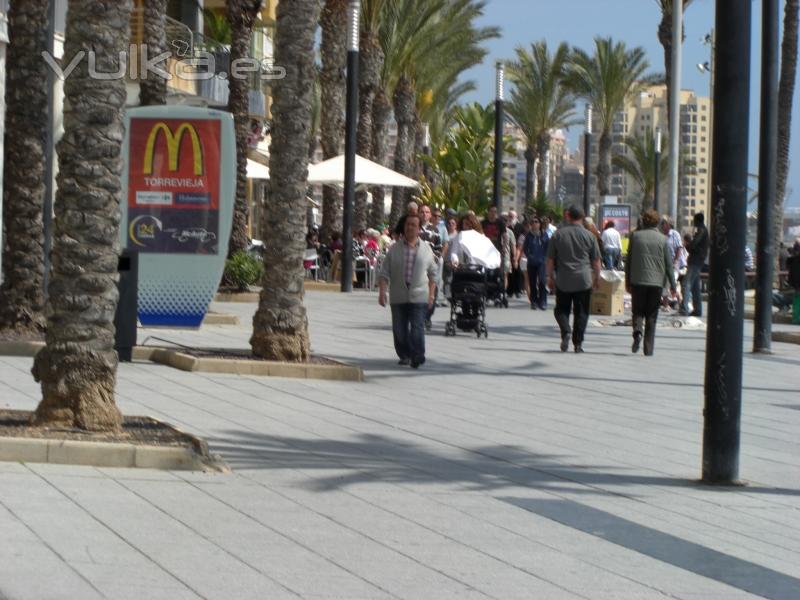 paseo vista alegre torrevieja