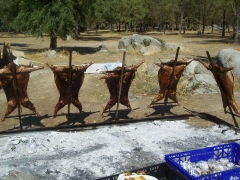 corderos a la estaca