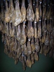nuestras bodegas de los mejores jamones del mundo