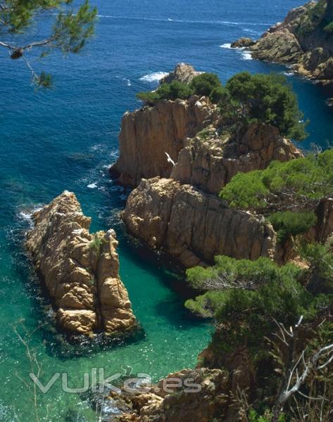 Cala Costa Brava