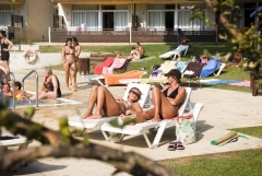 Zona de jardin alrededor de la piscina