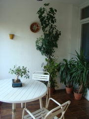 Terraza