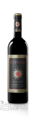 Hypnose merlot reserve 2006, bodega Logodaj