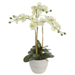 Plantas artificiales planta orquidea artificial crema 75 en lallimonacom
