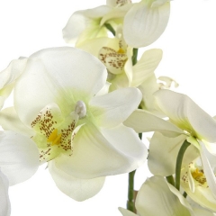 Plantas artificiales planta orquidea artificial crema 75 en lallimonacom (1)